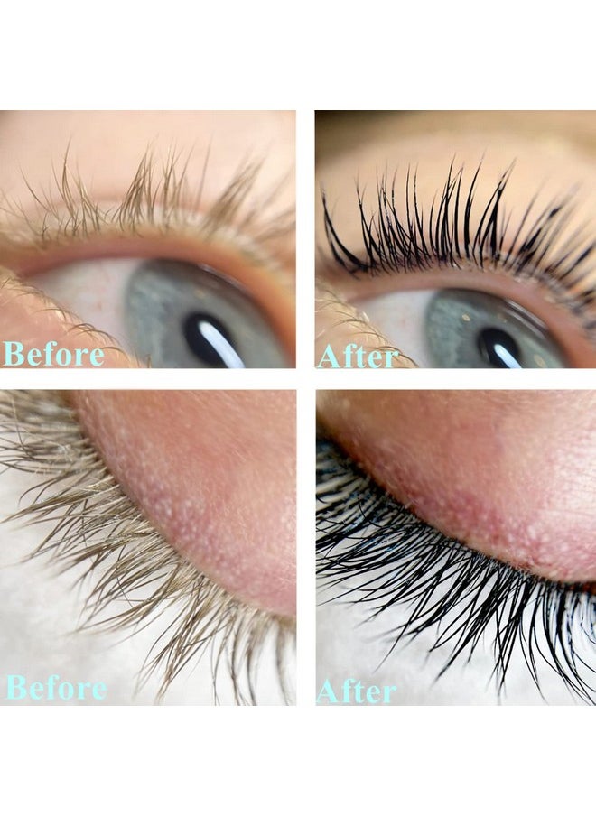 Black Lash Tint Kit, Keratin Black Eyelash Dye and Eyebrow Tint, 6 Week Voluminous Brow Tint, Tinting Look For Lash Perm/Lift/Lamination Treatment (Black Eyelash Tint Kit Only)