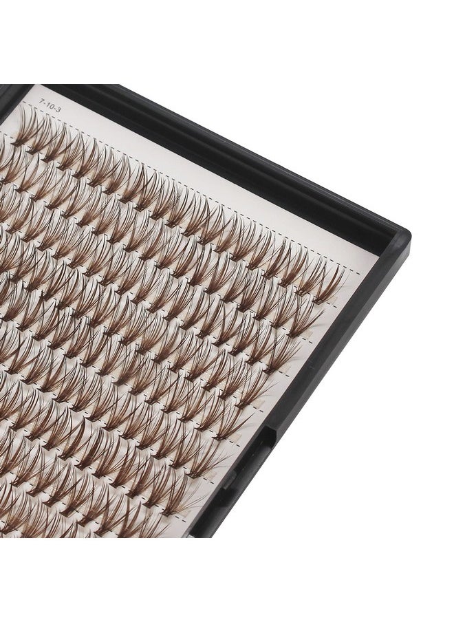 Dedila Grafting 20Roots Brown Color Makeup Cluster Eyelashes Thickness 0.07mm D Curl Individula False Eyelashes Dramatic 3D Volume Eye Lashes Extensions 10-20mm to Choose (10mm)