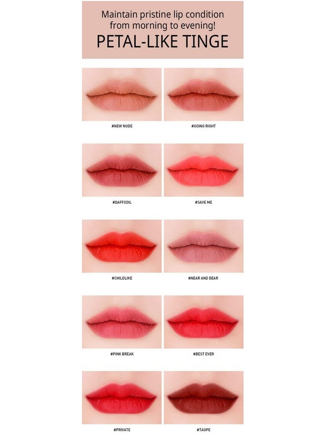 3 Concept Eyes Stylenanda Velvet Lip Tint (2017 New) 10 colors avail (Taupe)