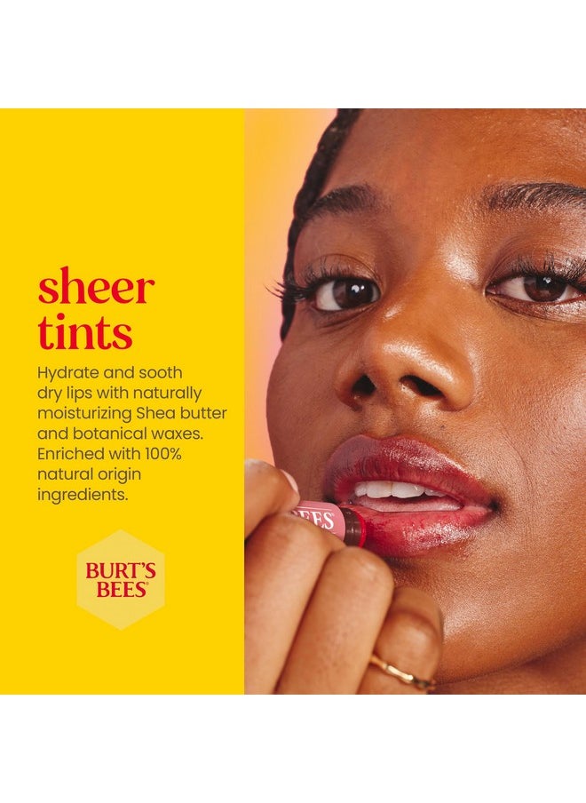 Burt's Bees Tinted Lip Balm - Rose 0.15 Ounce 2 Pcs