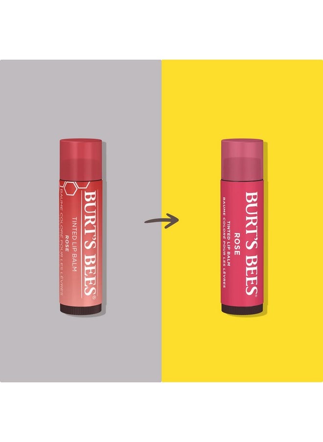 Burt's Bees Tinted Lip Balm - Rose 0.15 Ounce 2 Pcs