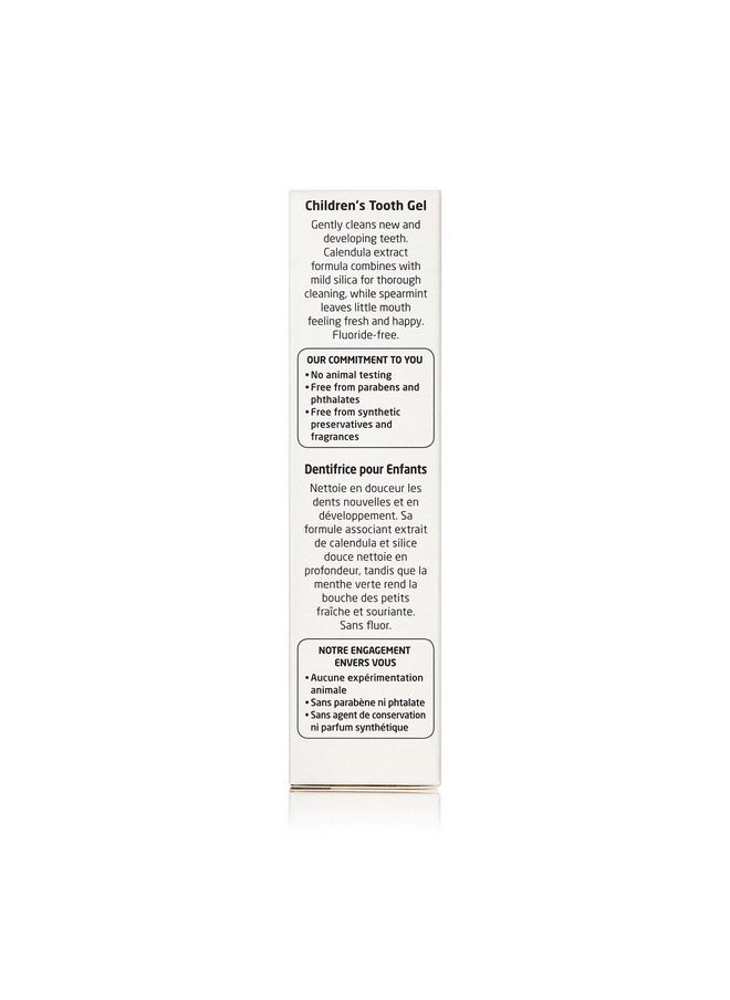Weleda Oral Care Childrens Tooth Gel, 1.7 Fluid Ounce, Fluoride Free, Spearmint Flavor, Plant Rich Toothpaste with Calendula, Silica and Fennel