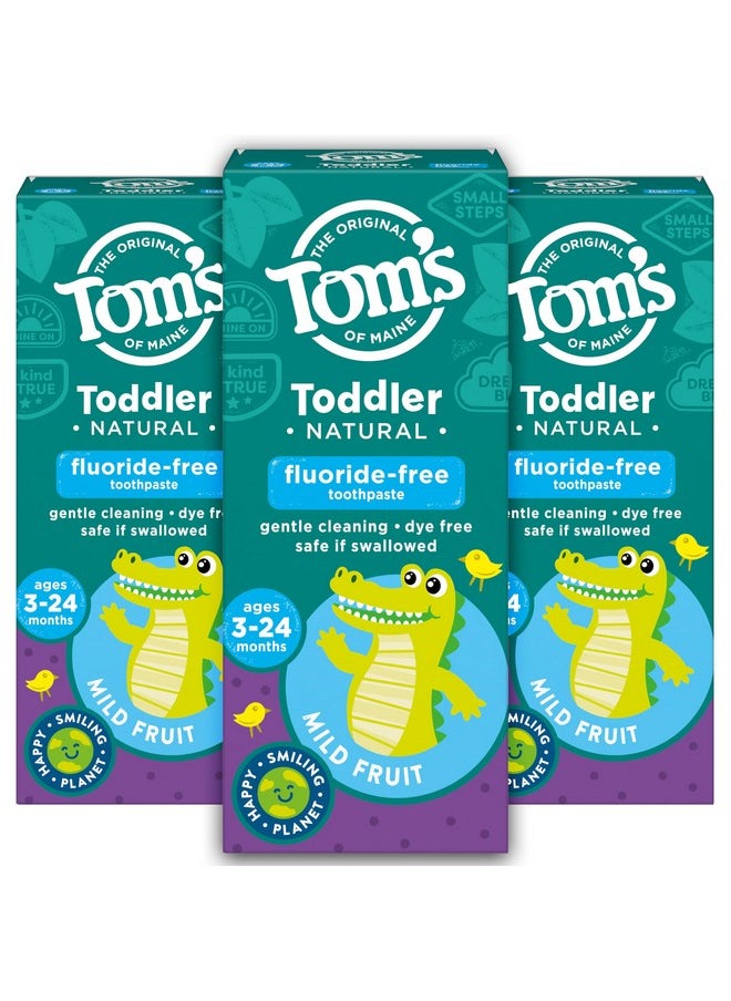Tom's of Maine Toddlers Fluoride-Free Natural Oral Health Toothpaste In Gel, Mild Fruit, 1.75 Ounce, 3 Count