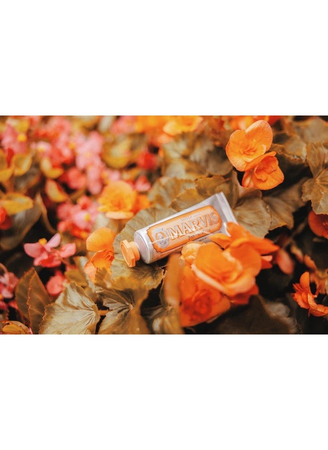 Marvis Ginger Mint Toothpaste, 3.86 oz