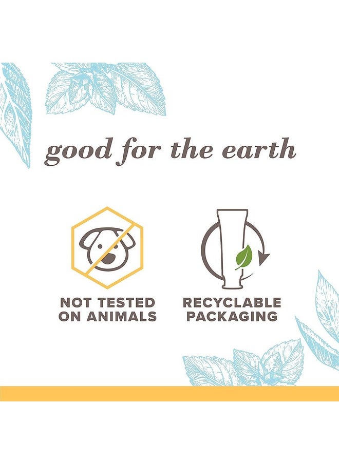 Burt's Bees Extra White Toothpaste, Fluoride Toothpaste, Natural Flavor, Mountain Mint, 4.7 oz, Pack of 3