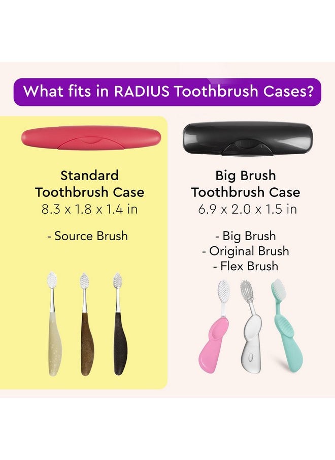 RADIUS Toothbrush Travel Case for Standard Brush, BPA-Free Recycled Plastic, Portable for Bathroom, School, Home, Camping - Light Blue (FITS ALL CONVENTIONAL TOOTHBRUSH SOURCE TOOTHBRUSH)