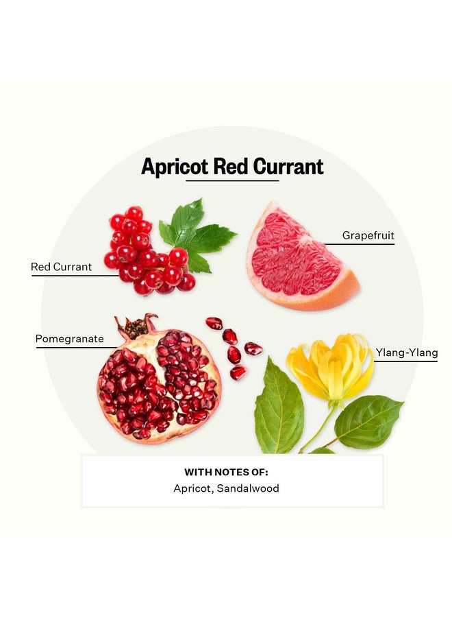 Apotheke Luxury Scented Candles & Reed Diffuser for Home, Set (Apricot Red Currant Mini Duo)