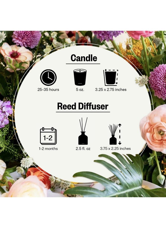Apotheke Luxury Scented Candles & Reed Diffuser for Home, Set (Apricot Red Currant Mini Duo)