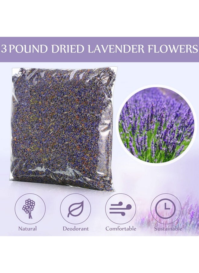 Treela 3 Pound Dried Lavender Bulk Dry Lavender Buds Fragrant Lavender Flower Petals for DIY Wedding Gift Crafts Home Fragrance Sachets