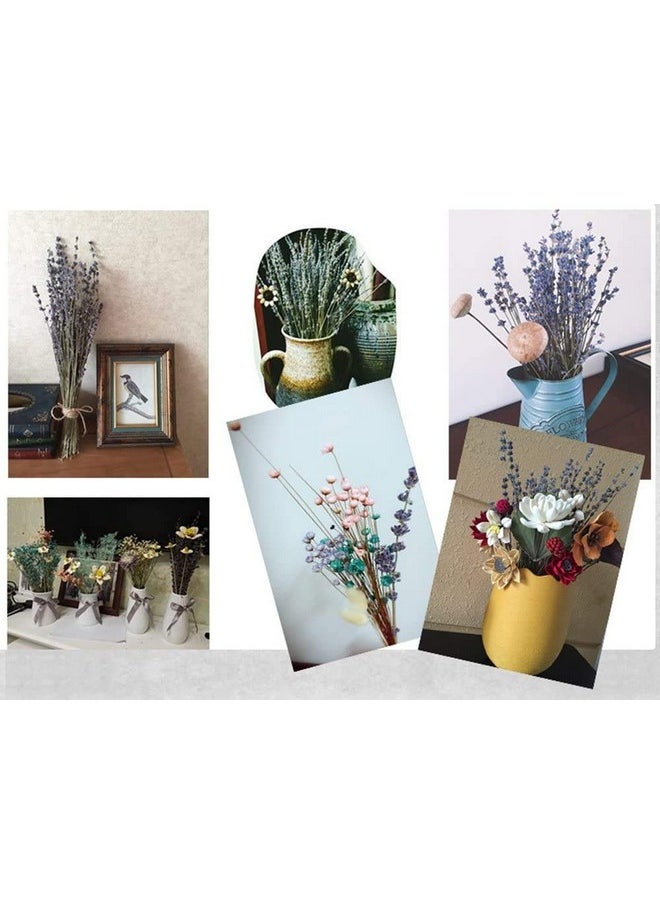 TooGet Lavender Dried Ultra Blue Bundles 400+ Stems (16