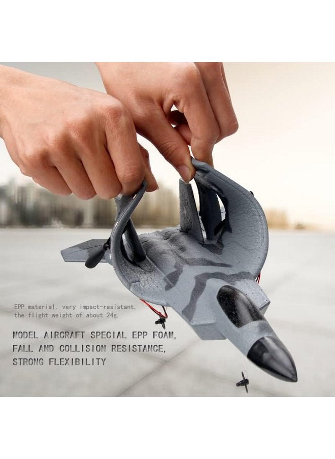 BEHORSE RC Plane -F22 Raptor Model Toy Airplane Glider, 2 Channels 2.4 GHz Remote Control Airplane Easy to Fly RC Jet,Kids & Beginners F22 Easy to Fly Toy for Fighter Model Glider