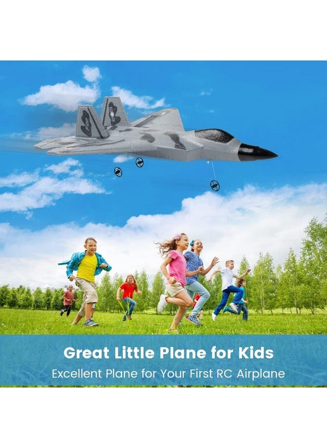BEHORSE RC Plane -F22 Raptor Model Toy Airplane Glider, 2 Channels 2.4 GHz Remote Control Airplane Easy to Fly RC Jet,Kids & Beginners F22 Easy to Fly Toy for Fighter Model Glider