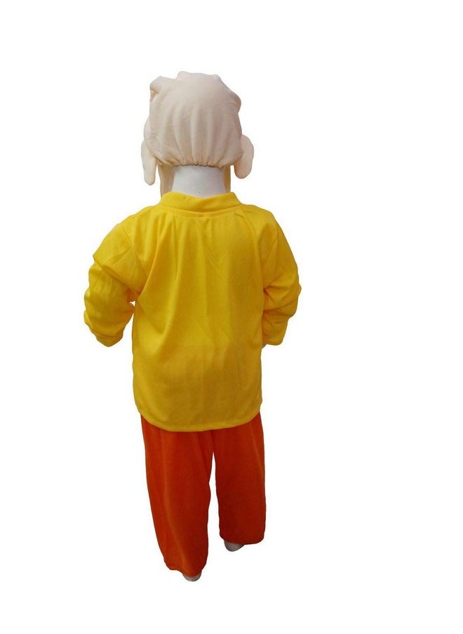 BookMyCostume Patlu Indian Cartoon Character Kids Fancy Dress Costume for Boys 5-6 years