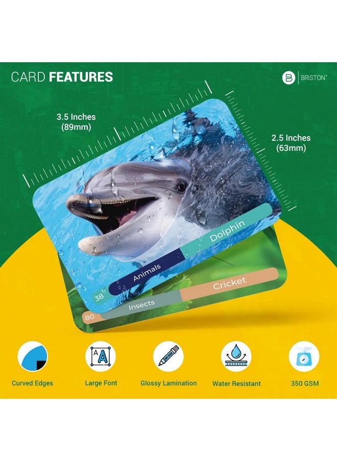 Spanish Vocabulary Flash Cards - 600 Full Color Cards [Updated 2024 Edition] Educational Language Learning Resource - Memory & Sight Words - Game Like Play - Kids, Grade School, Classroom, Homeschool