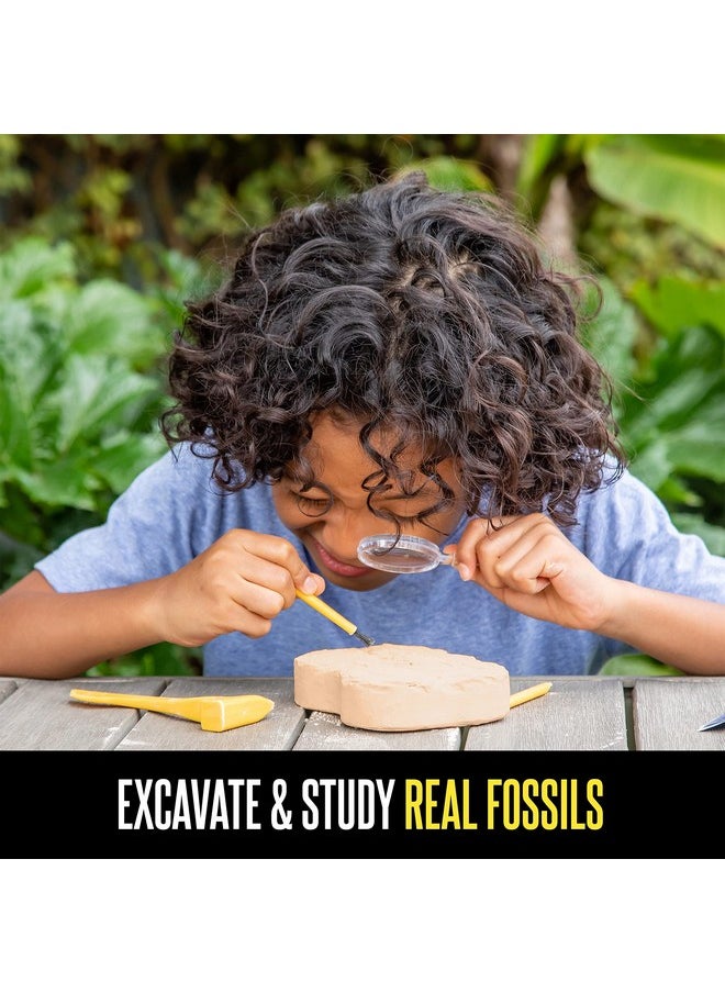 Educational Insights GeoSafari Fossil Excavation Kit, Kids Science Kit, Dinosaur Science Toy, Ages 7+