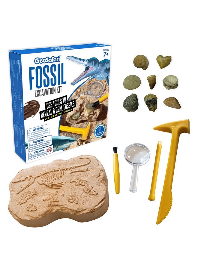 Educational Insights GeoSafari Fossil Excavation Kit, Kids Science Kit, Dinosaur Science Toy, Ages 7+