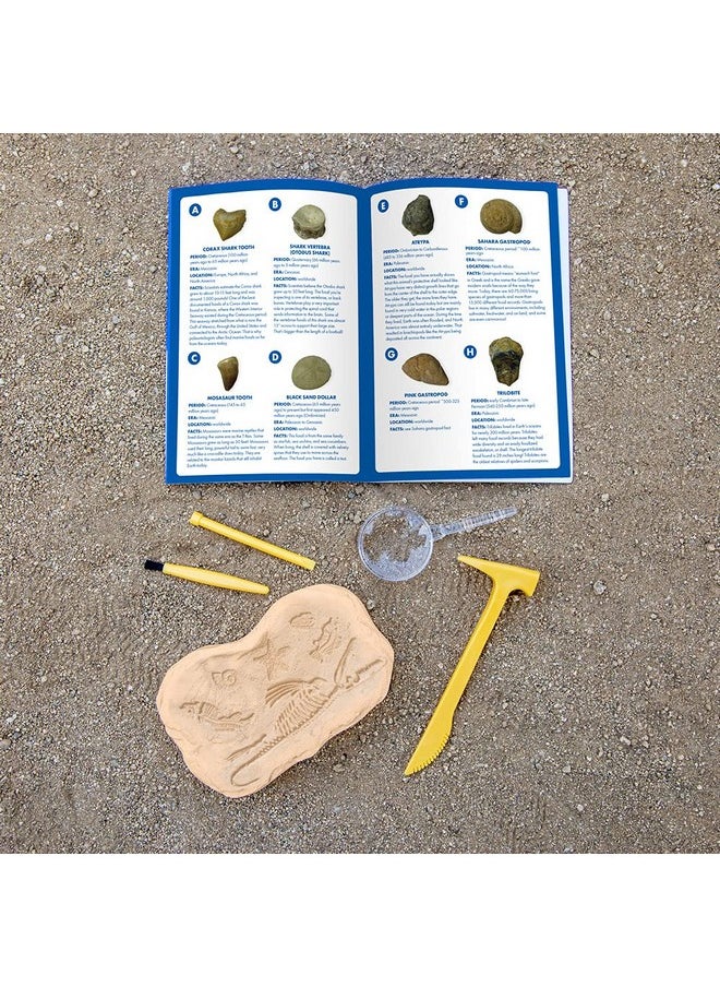 Educational Insights GeoSafari Fossil Excavation Kit, Kids Science Kit, Dinosaur Science Toy, Ages 7+