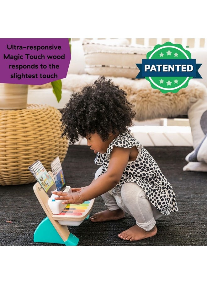 Baby Einstein and Hape Magic Touch Piano Wooden Musical Toddler Toy, Age 6 Months and Up