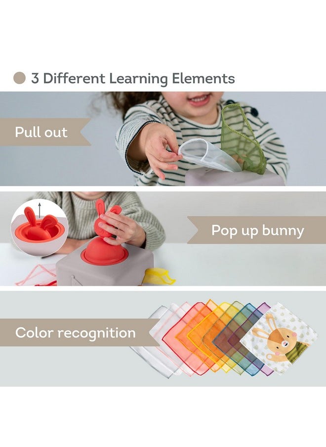 Taf Toys Baby Tissue Box Montessori Toys for Babies - Sensory & Motor Skills Development Silicone Toy with 10 Fabric Tissues, Pop-Up Bunny, Toys for 1 Year Old Boy Girl Preschool Toy