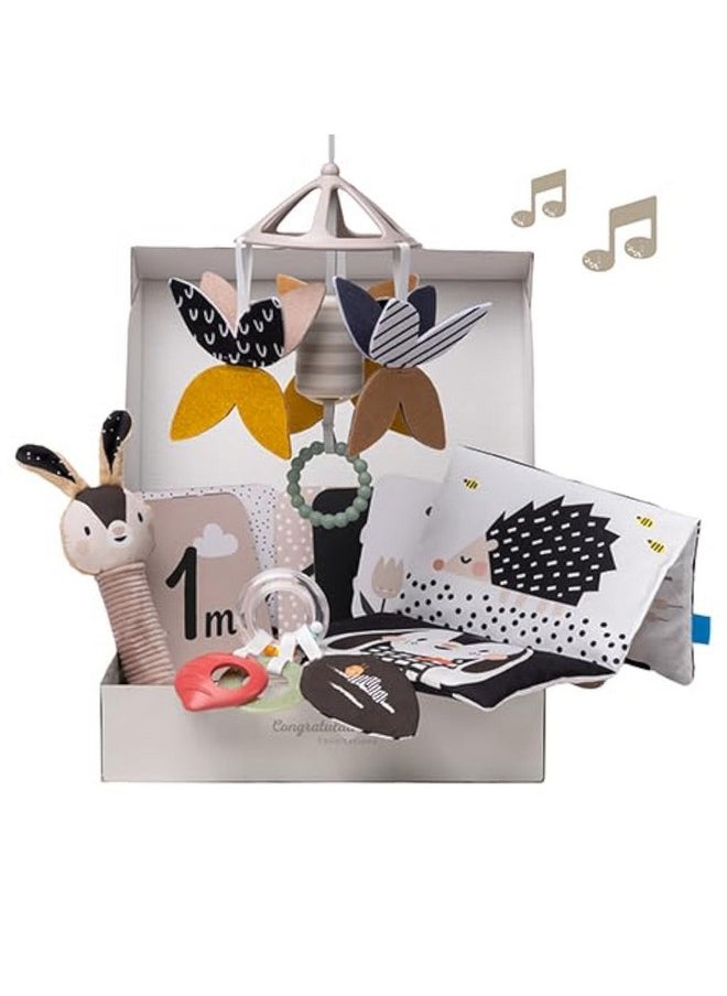 Taf Toys Black and White Newborn Kit - 10 Black and White Baby Toys, High Contrast Baby Toys for Newborn, Baby Essentials Must Haves, Tummy Time Toys for Motor Skills Infants Babies 0 3 6 Months