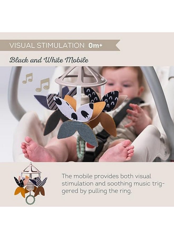 Taf Toys Black and White Newborn Kit - 10 Black and White Baby Toys, High Contrast Baby Toys for Newborn, Baby Essentials Must Haves, Tummy Time Toys for Motor Skills Infants Babies 0 3 6 Months