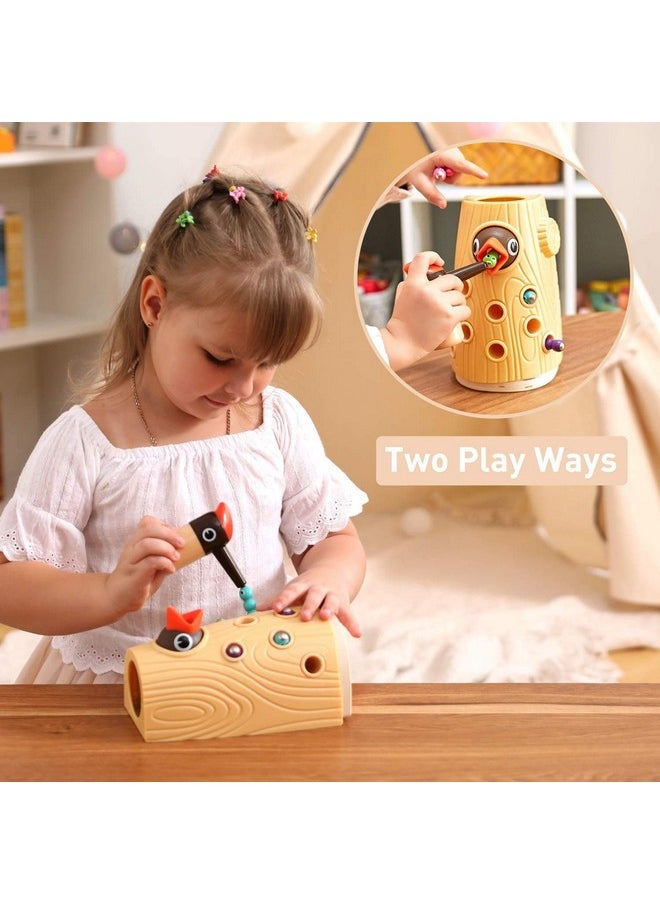 TOP BRIGHT Montessori Toys for 2 Year Old Girl and Boy, Fine Motor Skills Toddler Toys Age 2-4, Woodpecker Worm Toy Magnetic Bird Feeding Game