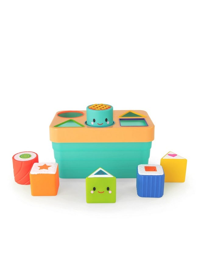 Sassy Sushi Sorter, Multi