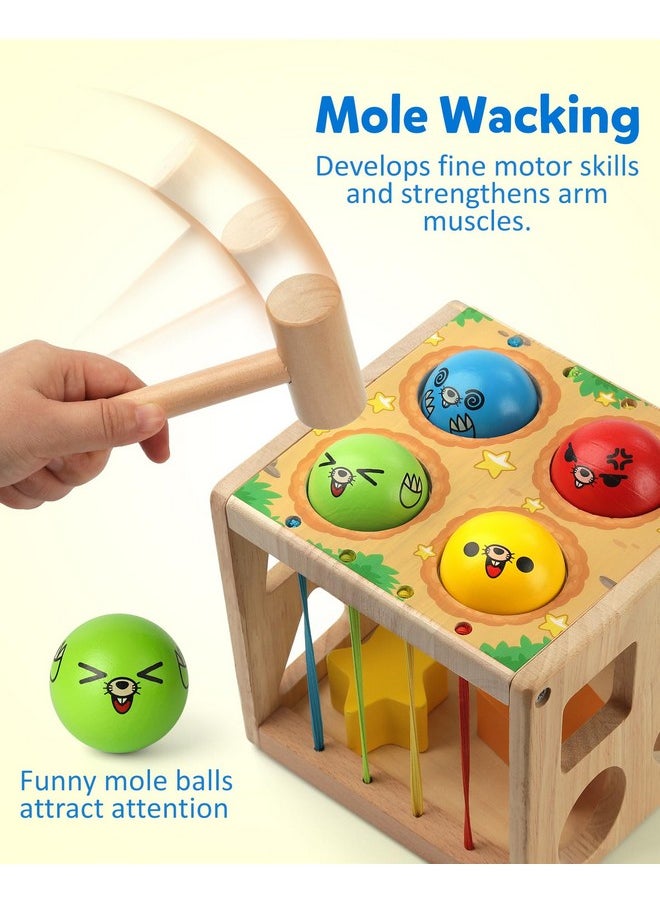 Coogam Wooden Montessori Toys for Toddlers, Shape Sorting Cube Whack Mole Fine Motor Skills Game for Year Old 18 Month+ Baby Boys Girls Gift