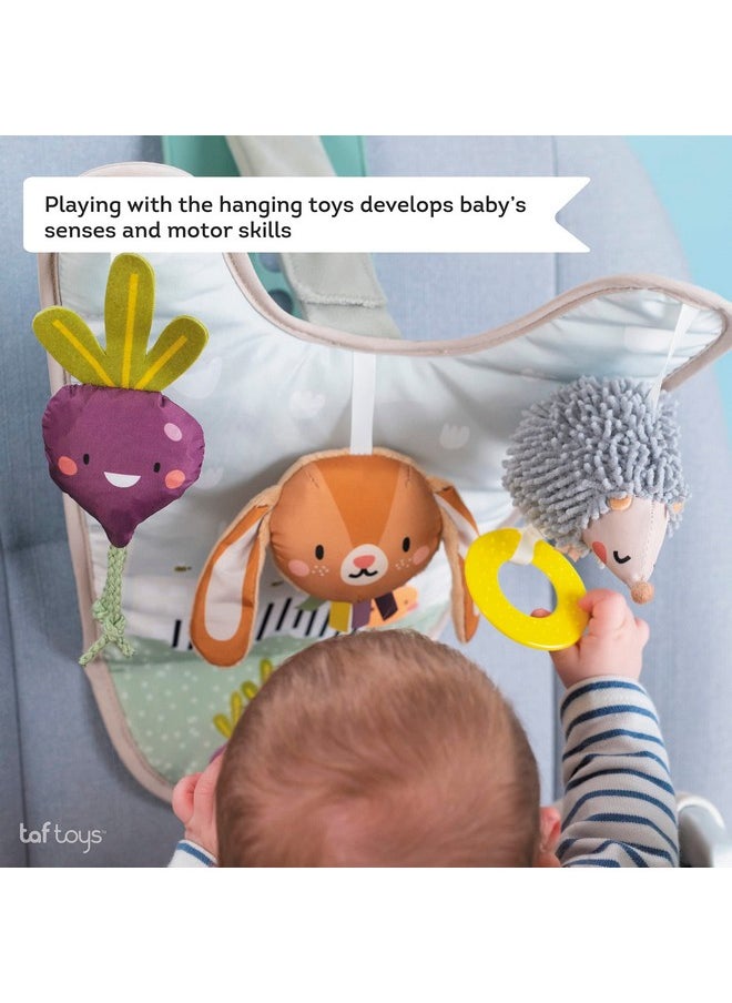 Taf Toys Infant Car Seat Development Center Newborn Baby Essentials Must Haves Toy, Car Seat Accessories Activity Center with Car Seat Mirror, for Newborn Toys 0 3 Months Brain Development