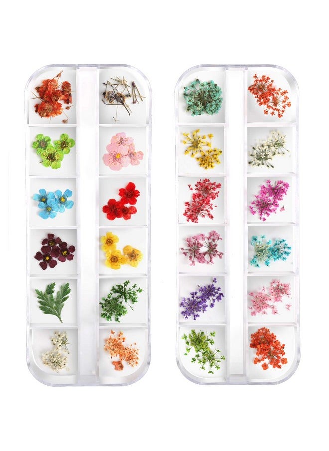 Teenior 24 Colors Nail Dried Flowers, 3D Nail Art Sticker for Tips Manicure Decor Mixed Accessories, Starry Leaves Flower (2 Boxes)