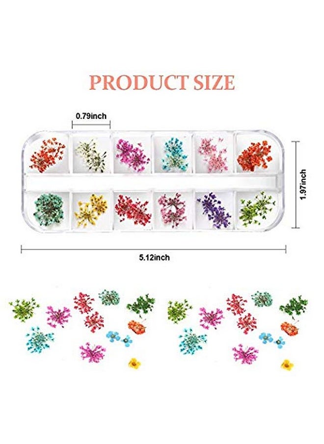 Teenior 24 Colors Nail Dried Flowers, 3D Nail Art Sticker for Tips Manicure Decor Mixed Accessories, Starry Leaves Flower (2 Boxes)