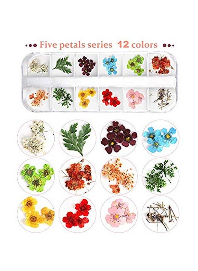 Teenior 24 Colors Nail Dried Flowers, 3D Nail Art Sticker for Tips Manicure Decor Mixed Accessories, Starry Leaves Flower (2 Boxes)