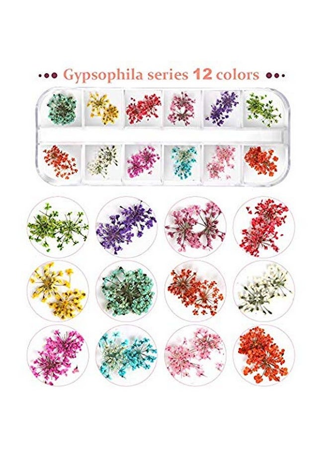 Teenior 24 Colors Nail Dried Flowers, 3D Nail Art Sticker for Tips Manicure Decor Mixed Accessories, Starry Leaves Flower (2 Boxes)
