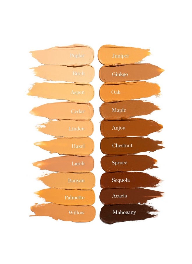 Ogee Sculpted Complexion Foundation Stick (Poplar 0.10C Fair, White-Pink Undertones) Full Coverage Foundation Makeup - Instantly Balance & Even Complexion - 70% Organic Ingredients