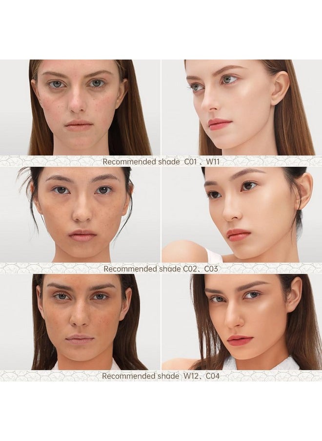 CATKIN Panda Land Full Coverage Cushion Fondation, Breathable Hydrating Nourishing Poreless Face Makeup Save for Sensitive Skin,Sheer Finish (C01 Fair)