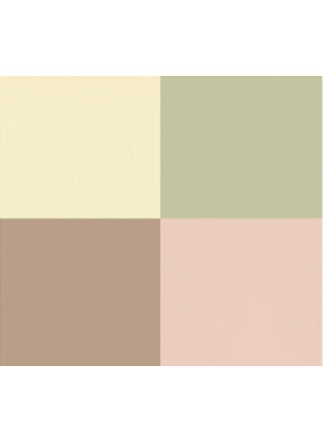 DR HAUSCHKA Colour Correcting Powder 00, 8 GR