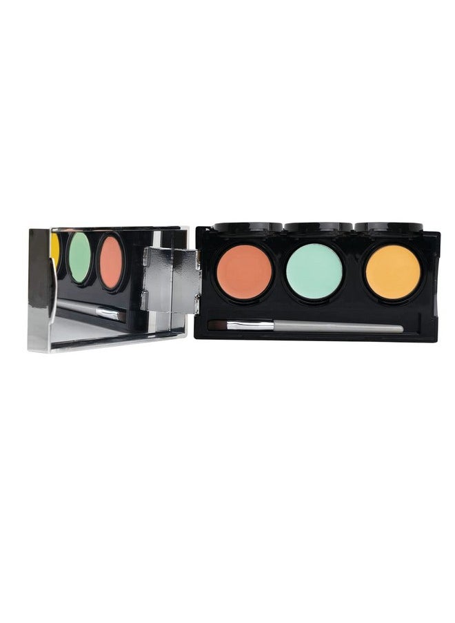 Dermaflage Color Correcting Palette, Color Corrector Concealer for Dark Circles, Redness, Bruises, Dark Spots, by Dermaflage 6.9g/.24oz