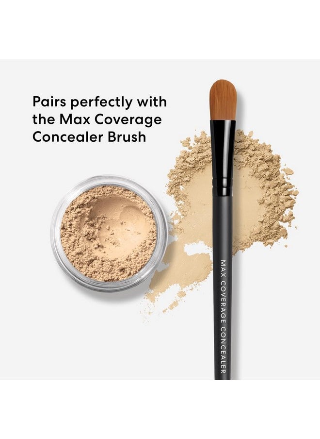 bareMinerals Well Rested Under Eye Brightener SPF 20, Loose Powder for Under Eye Brightening and Dark Circles, Mineral SPF 20, Vegan