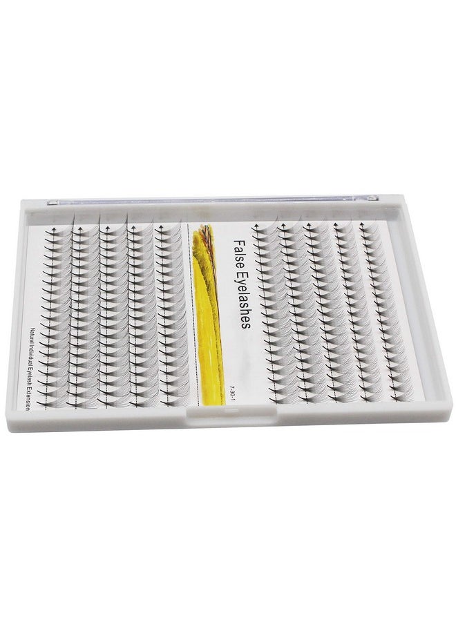 Dedila -200Pcs Grafting Mixed 8-10-12-14mm/10-12-14-16mm/12-13-15-16mm /12-14-16mm/14-15-16mm Individual False Eyelashes Long Stem Cluster Natural Long Premade Fans Volume Eye Lashes (10-12-14-16mm)