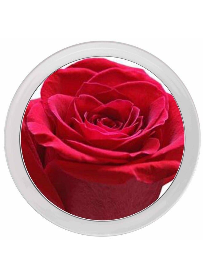 Miss Sweet 10X Magnifying Mirror with Suction Cup Suction Mirror