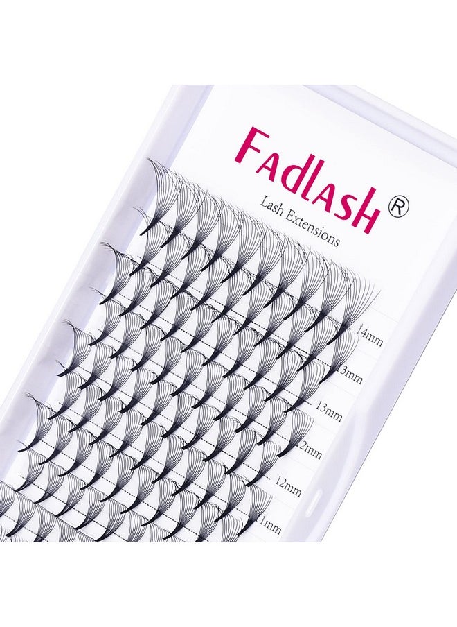 Lash Extension 10D 0.07 Premade Fans Eyelash Extensions D Curl Mix Tray Volume Short Stem (10D-0.07-D, 8-14mm Mix)
