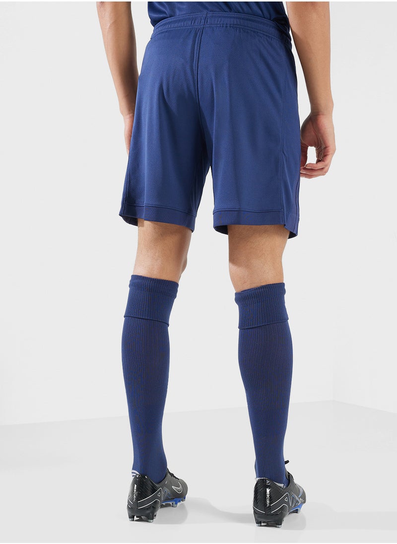 Psg Dri-Fit Shorts