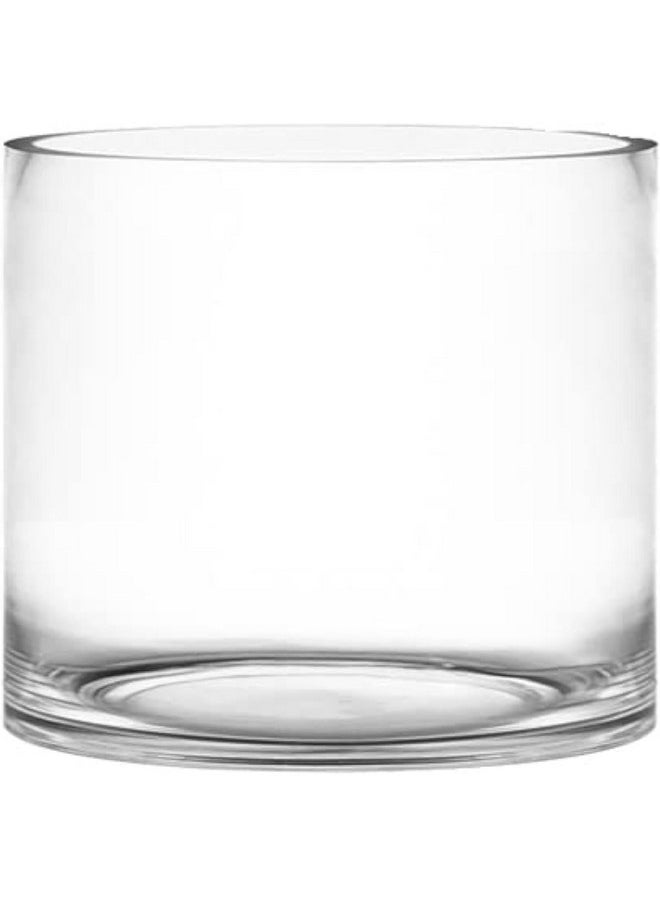 CYS Excel Clear Glass Cylinder Flower Vase (H:6