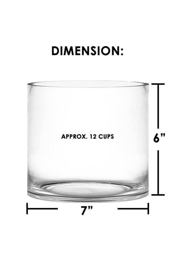 CYS Excel Clear Glass Cylinder Flower Vase (H:6