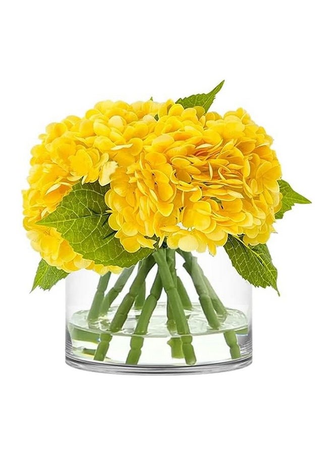 CYS Excel Clear Glass Cylinder Flower Vase (H:6