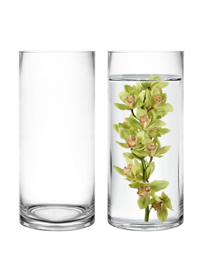 CYS Excel 2 PCS Clear Glass Cylinder Vase (D:4