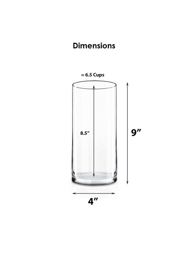 CYS Excel 2 PCS Clear Glass Cylinder Vase (D:4