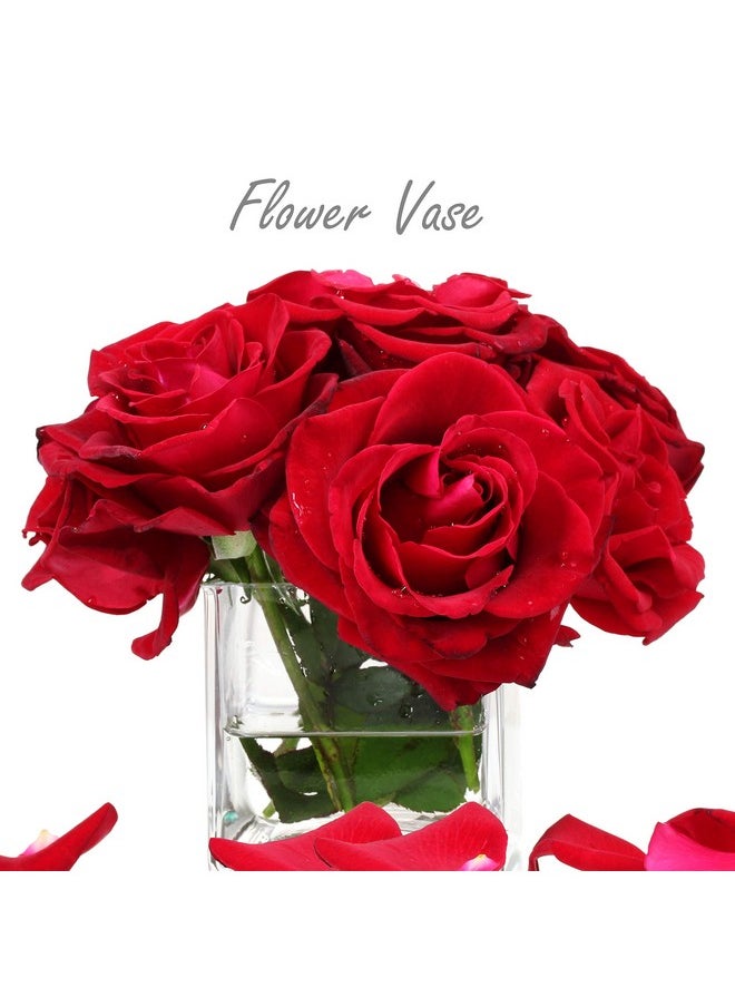 CYS EXCEL Glass Cube Vase 4