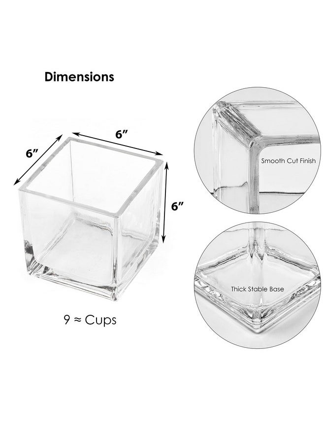 CYS EXCEL Clear Glass Cube Vase 6