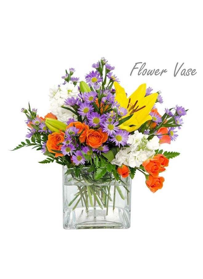 CYS EXCEL Clear Glass Cube Vase 6